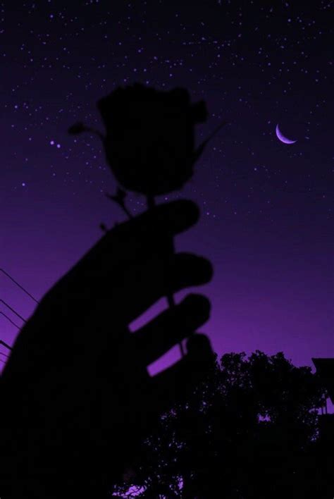 purple dp|Free Dark Purple Aesthetic Photos .